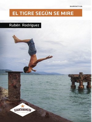 cover image of El tigre según se mire